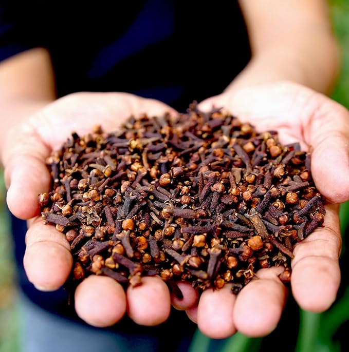100% Pure Clove Essential Oils - Essential Oils for Diffusers Aromatherapy & Humidifiers (2Lb) | Natural Cold-Pressed
