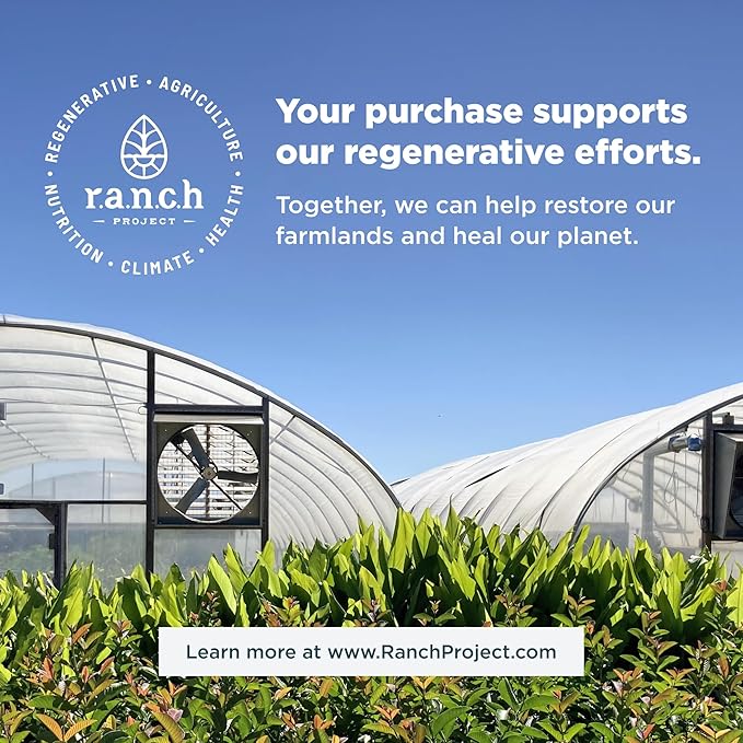 Ancient Nutrition Hydrolyzed Collagen Peptides Powder with Probiotics, Chocolate Multi Collagen Protein for Women and Men with Vitamin C, 40 Servings, Supports Skin and Nails, Gut Health, 16.65oz