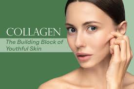 Collagen Benefits for Skin: What Happens When You Take It Daily (2026 Guide)