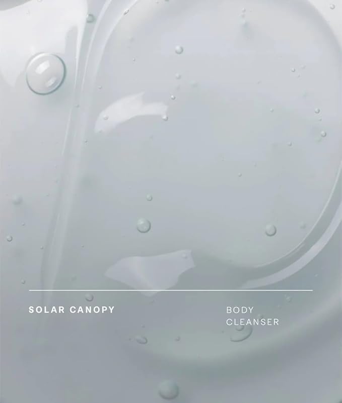 Future Society Solar Canopy Body Wash - Luxury Fruity Floral Scented Body Cleanser with Notes of Bergamot, Pink Sugar & Vetiver - Gentle Moisturizing Cleanser - Scented Shower Gel - 8oz