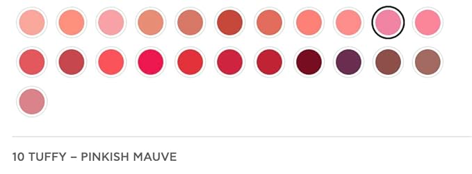 Radiant Professional Advanced Care Lipstick - Ultra Nourishing, Moisturizing Long Lasting Matte Lipstick With Vitamin E- UVA UVB Filters - VELVET (10 TUFFY – PINKISH MAUVE)
