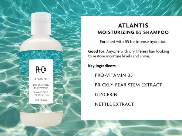 R+Co Atlantis Moisturizing B5 Shampoo & Conditioner Set | Deep Hydration & Repair for Dry Hair | Vegan + Cruelty-Free | 8.5oz (Pack of 2)