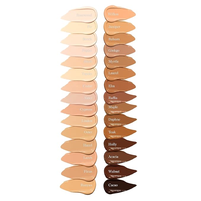 Ogee Complexion Perfecting Under Eye Concealer - Certified Organic Full Coverage Concealer - Buildable Coverage - LAUREL 6.50N - Medium (Neutral Undertones)