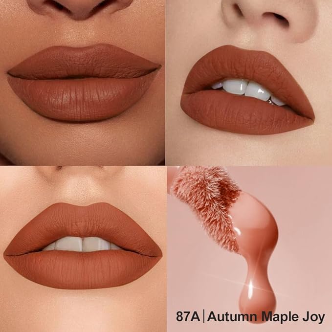 Soft Matte Liquid Lipstick in Warm Terracotta, High Pigment Full Coverage Matte Lip Color, Waterproof Smudge-Proof Non-Transfer Lightweight Liquid Lipstick for Long-Wearing Everyday Makeup 87A