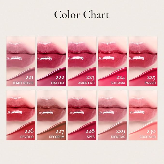 DINTO Blur-Glowy Lip Tint (226 Dēvōtiō)