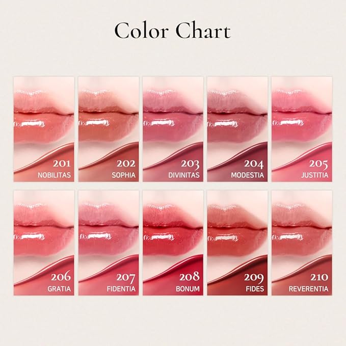 DINTO Blur-Glowy Lip Tint - Glossy Finish, Hydrating, Long Lasting, Lightweight Texture, Non-Sticky, Vegan & Cruelty-Free, K beauty (220 Deo Volente, 0.11 fl.oz)