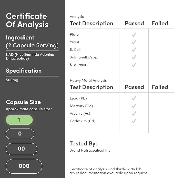 NAD+ Anti Aging & Cell Regeneration | 500mg of 95% Pure NAD Plus Per Serving, 30 Day Supply | Similar to Nicotinamide Riboside | Third Party Tested, Vegan Safe, Non-GMO