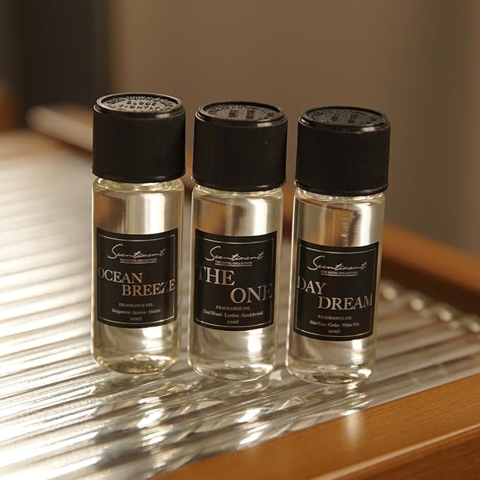 Scentiment Diffuser Oil - Sunshine State | Aromatherapy Home Fragrance | Luxurious Scent with Notes of Bergamot, Ylang-ylang, Musk, Sandalwood (50ml)