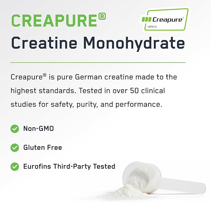 SteelFit Creapure Creatine Monohydrate Powder, Unflavored - German Micronized Creatine Powder for Men & Women - Gym Workout Nutritional Supplements for Muscle Gain, Brain Health & Strength Building