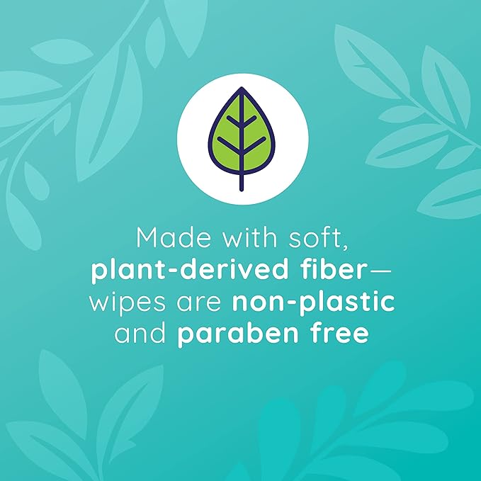 Wet Ones Biodegradable Wipes, 20 Count Each (Pack of 10)