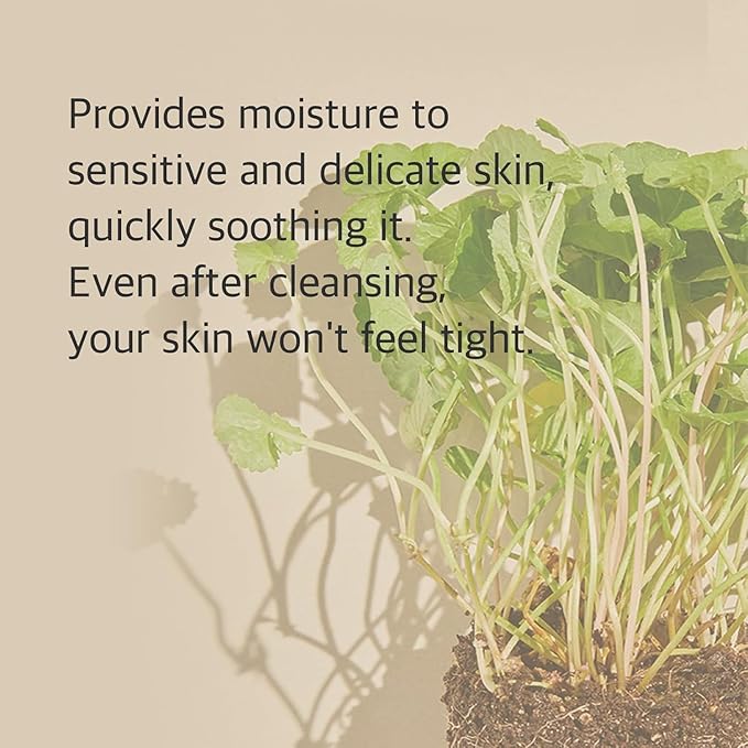 mixsoon Centella Cleansing Foam Low pH Cleansing and Soothing for Face, Face Wash with Centella Asiatica Extract, Hydrating Formula 150ml / 5.07 fl. oz. Korean Glass Skin Care