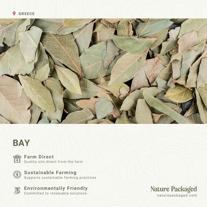 Bay Essential Oil - Direct from Greece - Steam Distilled - Laurel for Aromatherapy, Massage, Diffuser, DIY Candle and Soap Making - 2lbs