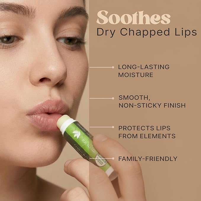 USDA Organic Lip Balm - USA Made with Natural Ingredients - 12-Pack (6 flavors) – Beeswax, Coconut Oil, Vitamin E – Moisturizing Chapstick for Dry, Cracked Lips – Lip Care Gift Set