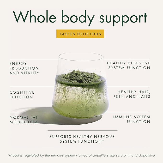 WelleCo The Super Elixir Daily Greens Powder, Probiotic Drink Mix with Whole Foods, Gluten Free, Vegan Gut Health Powder, Energy, Immunity, Healthy Skin, Hair & Nails (300g, Lemon Ginger)