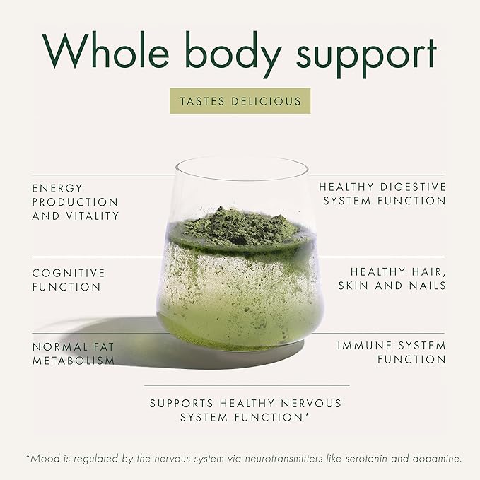 WelleCo The Super Elixir, Daily Greens Powder with Probiotics, Superfoods & Whole Foods, Unflavored Drink Mix for Gut Health, Immunity, Energy, Skin & Hair, 10.5oz Jar