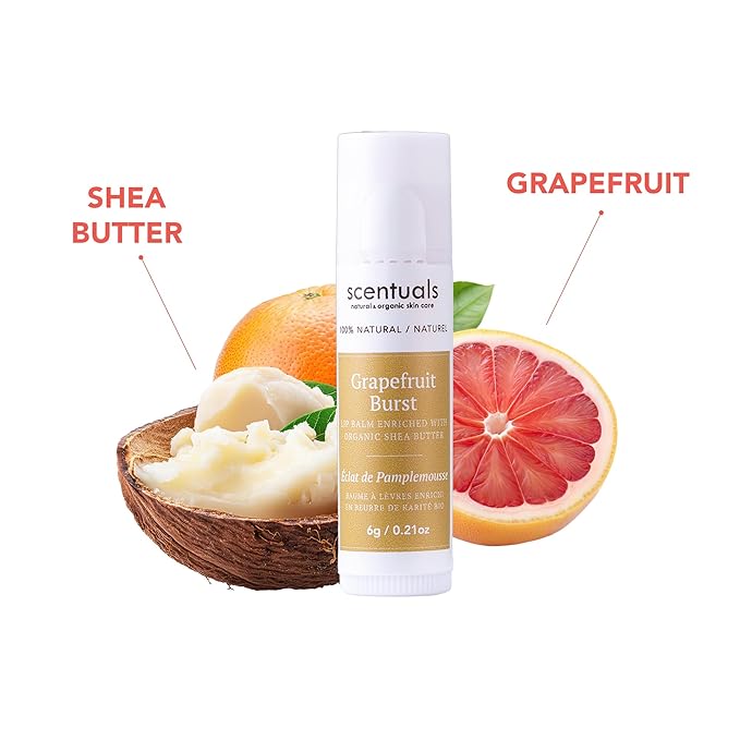 Lip Balm Set of 3, Made with Shea Butter, Cocoa Butter, Castor, Avocado & Jojoba oil, Beeswax, Vitamin E and Essential oil, Moisturizing Lip Care, Cruelty Free Hydration, 100% Natural (3 Pack)