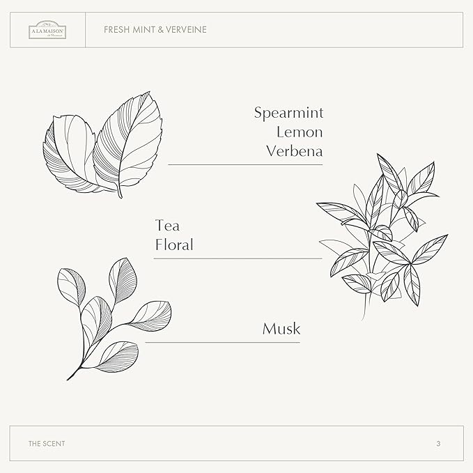 A La Maison Amber Starter Kit - Shower Oil + Body Scrub Fresh Mint & Verveine – Gently Exfoliates & Softens Skin – French Formula, Plant-Based