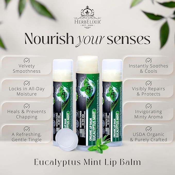 Organic Eucalyptus Mint Lip Balm 3 Pack | Hydrating Chapstick for Dry Lips | Natural Lip Care for Men and Women