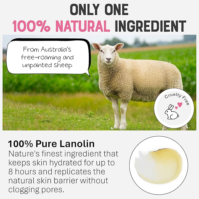 Dr. Lipp Nipple Balm 0.27 fl oz/ 8 ml & Superfood Lip Tints 3x8ml Multi Use Bundle for Lips, Nipples & More