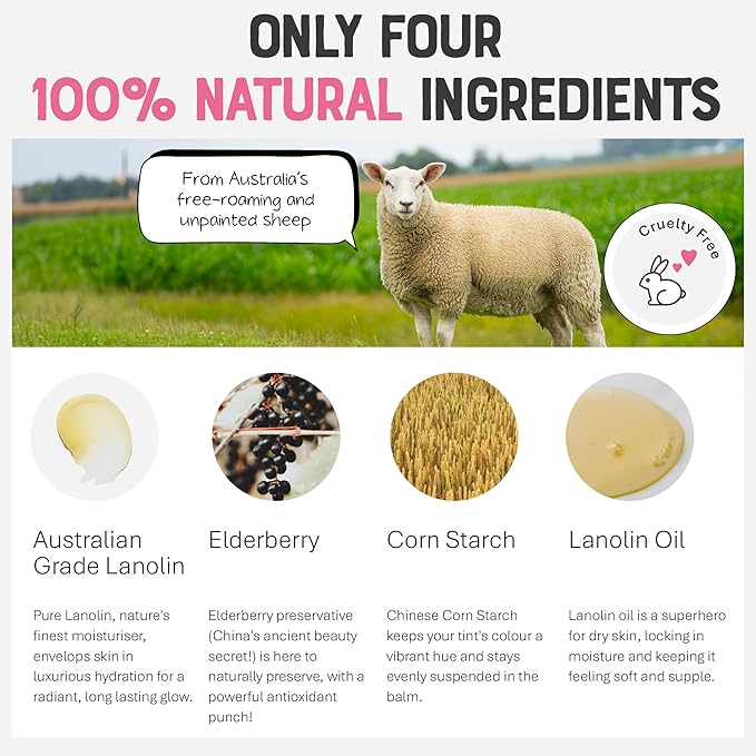 Dr. Lipp Superfood Lip Tint Elderberry 8ml – 4-in-ONE Ultra Moisturising Tinted Lip Balm, Lip Gloss, Cheek Blush & Glossy Eyeshadow – 100% Natural – Fragrance & Cruelty Free