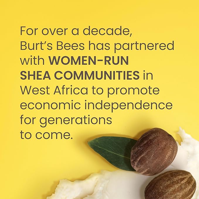 Burt's Bees Shea + Aloe Lip Balm Stocking Stuffers Christmas Gifts, Antioxidant Vitamin Rich Formula Locks in Moisture for Instant Hydration, Natural Smoothing Lip Treatment for After Sun Care(4-Pack)