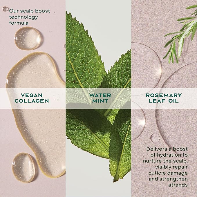 Shea Moisture Strengthening Scalp & Hair Oil Rosemary & Vegan Collagen To Protect The Scalp And Strengthen Hair With ScalpBoost Technology For A Cooling Sensation With ScalpBoost Technology 2 Fl Oz