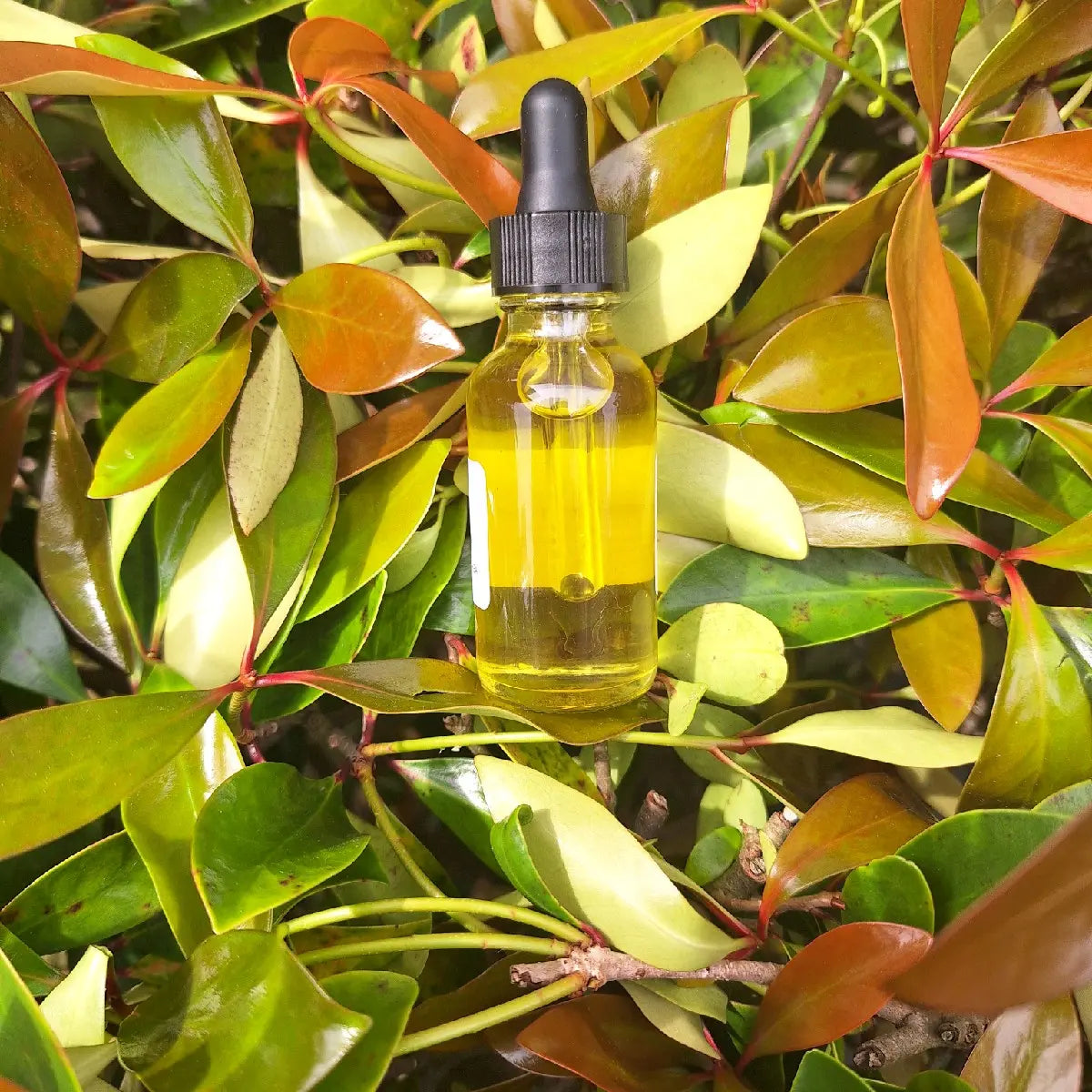 Therapeutic Pain Relief Body Oil